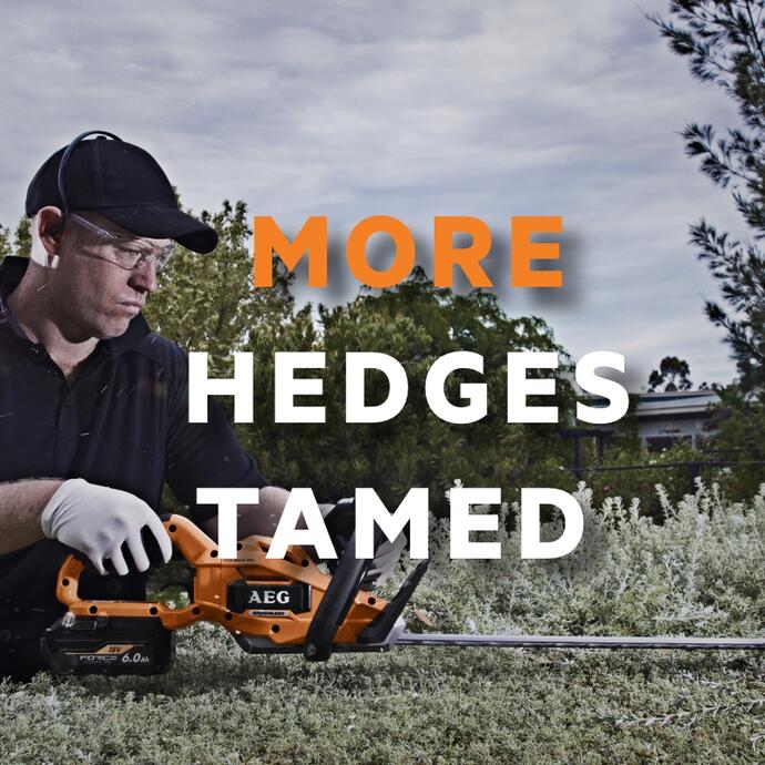 More hedges tamed using an AEG FUSION hedge trimmer